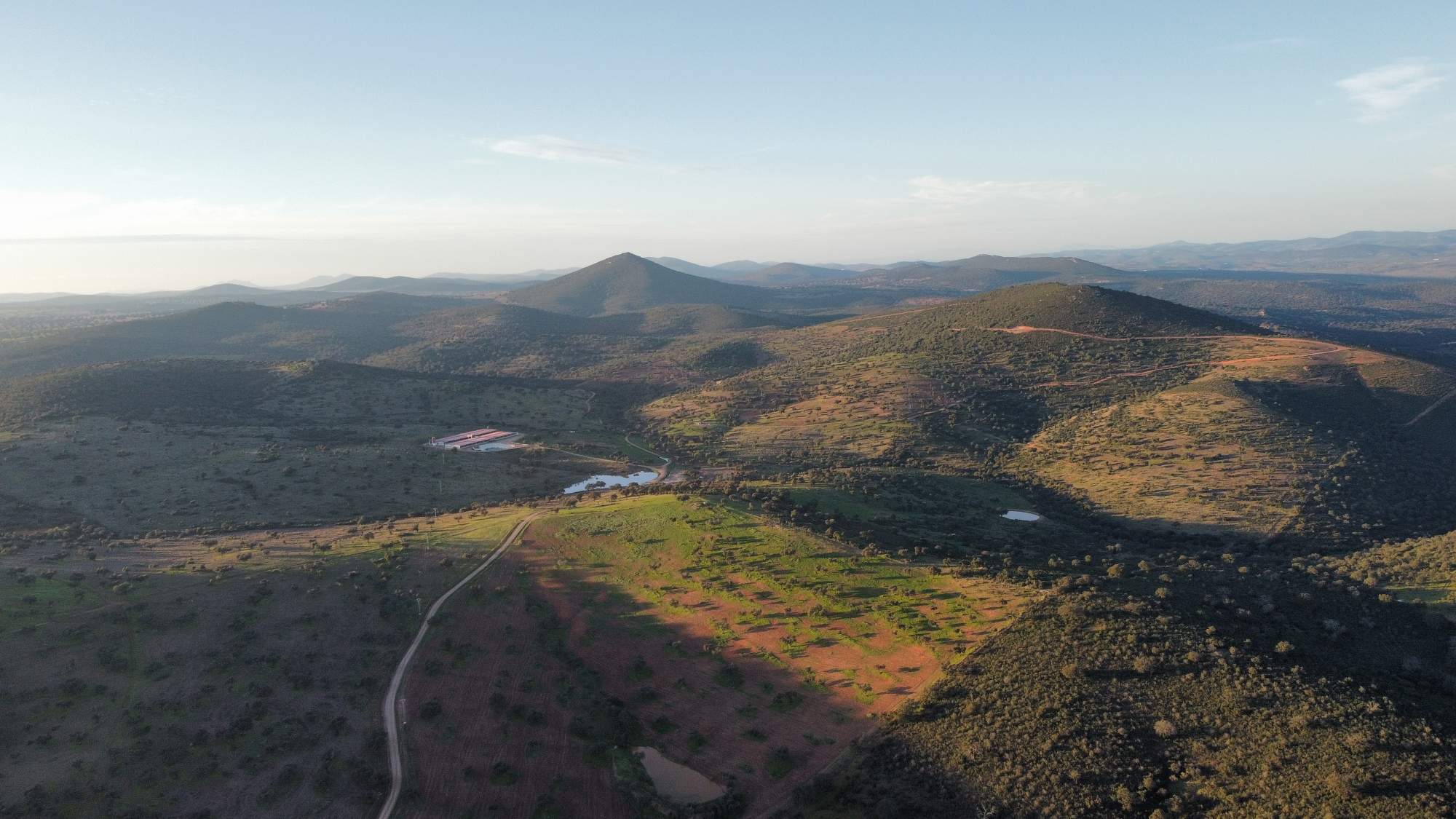 reforestación